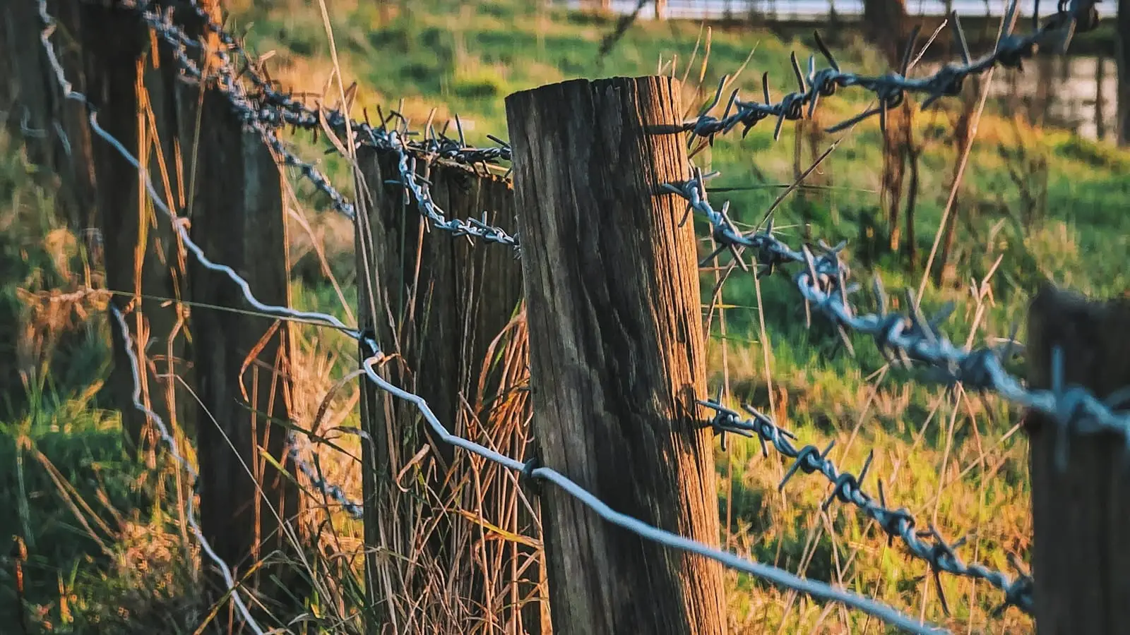Poste de madera de un cerco rural con alambre de púas, sobre un potrero con pasto iluminado por el sol de la tarde