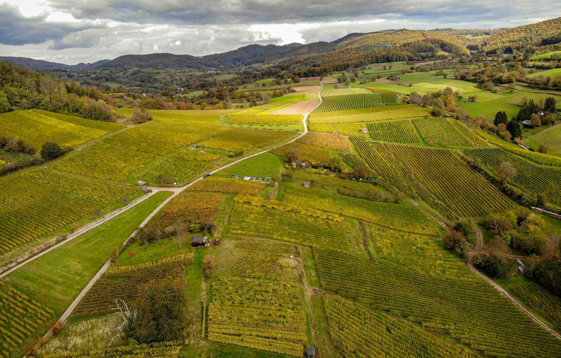 Aerial view of rural land divided into parcels